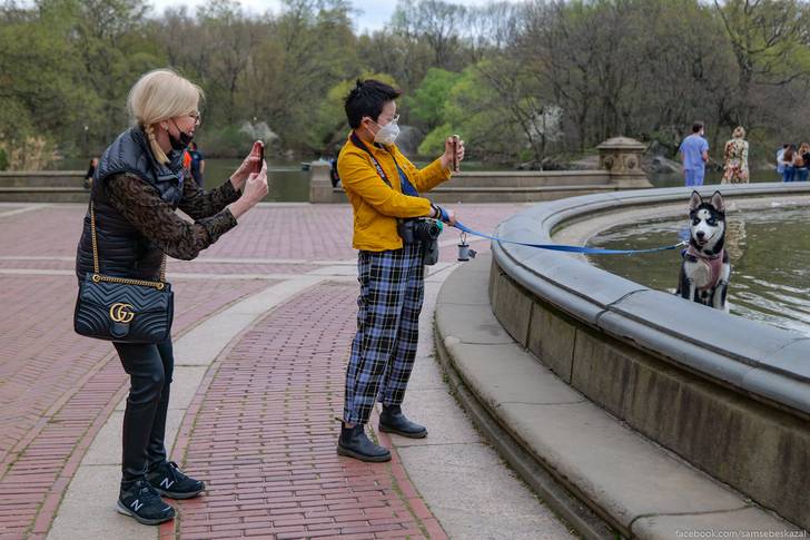 A photo of two people taking photos of a dog